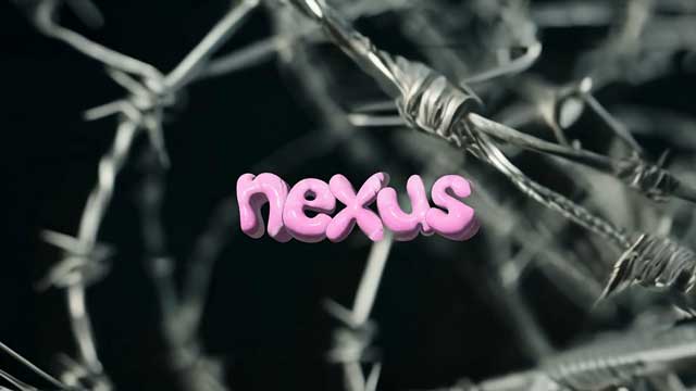 Nexus, por Florencia Vázquez